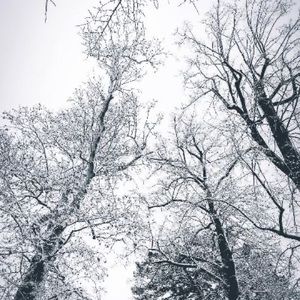 Meet your Posher, Jade